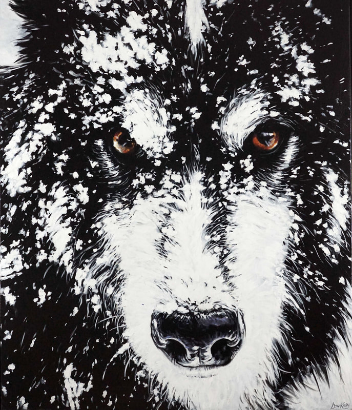 dog
wolf
canine
portrait